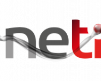 15.Neti-Logo-BrandeaLove diseño de marca
